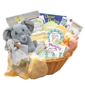 Deluxe Welcome Home Precious New Baby Gift Basket-Yellow/Teal
